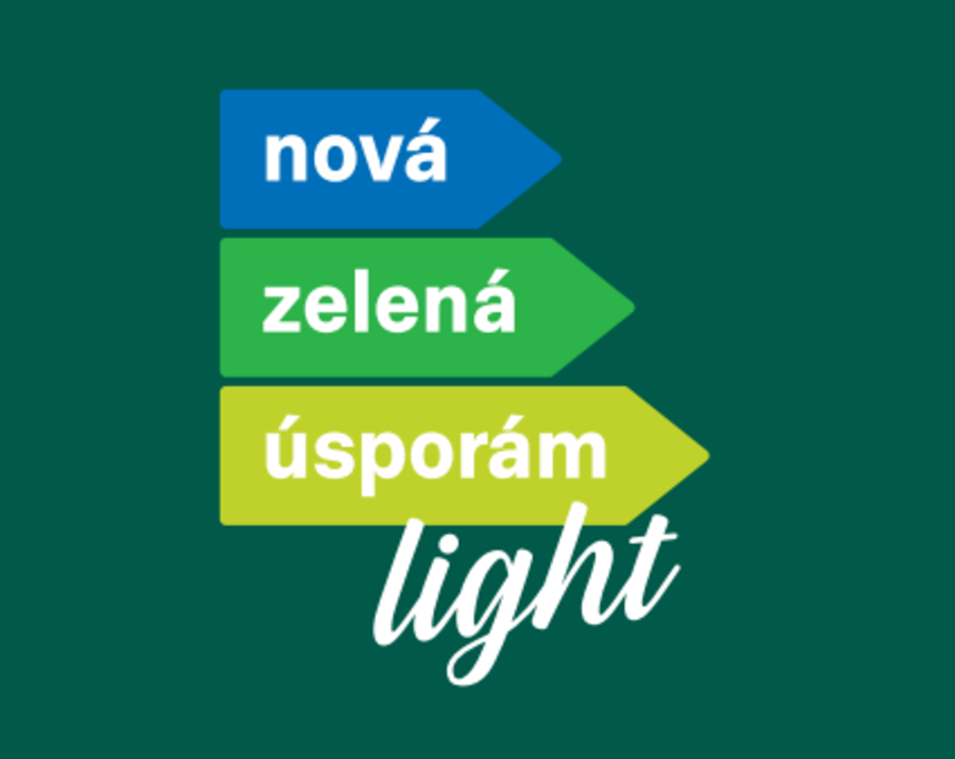 NZU light logo