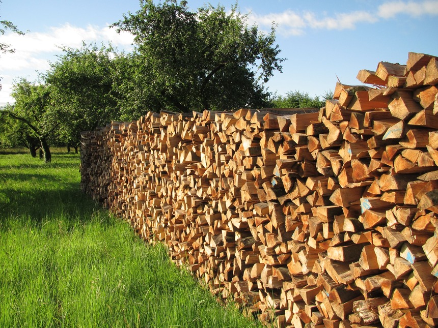 Většinu zpracovaného dřeva tvořily stromy postižené kůrovcovou kalamitou