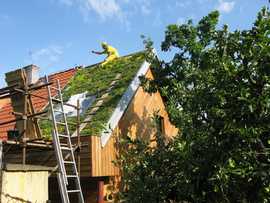 Fenomén zelených střech: Přírodě vrátíme dluh a ještě si zajistíme komfortní bydlení 