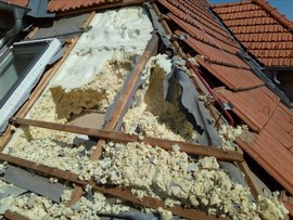 Kuna ve střeše zničí střechu za stovky tisíc korun: jaký izolant kuně nechutná?