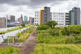 Majitelé veřejných a komerčních budov se zelenými střechami mohou ušetřit až 20 tisíc korun ročně za srážkovné 