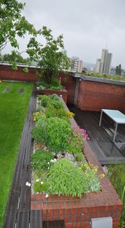 Svaz zakládání a údržby zeleně, formy střešních zahrad, ilustrační foto