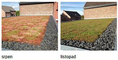Zelená střecha Urbanscape během ročních období, zdroj: Knauf Insulation