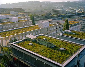 Ilustrační foto, zelené střechy, zdroj: internet